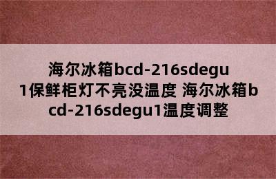 海尔冰箱bcd-216sdegu1保鲜柜灯不亮没温度 海尔冰箱bcd-216sdegu1温度调整